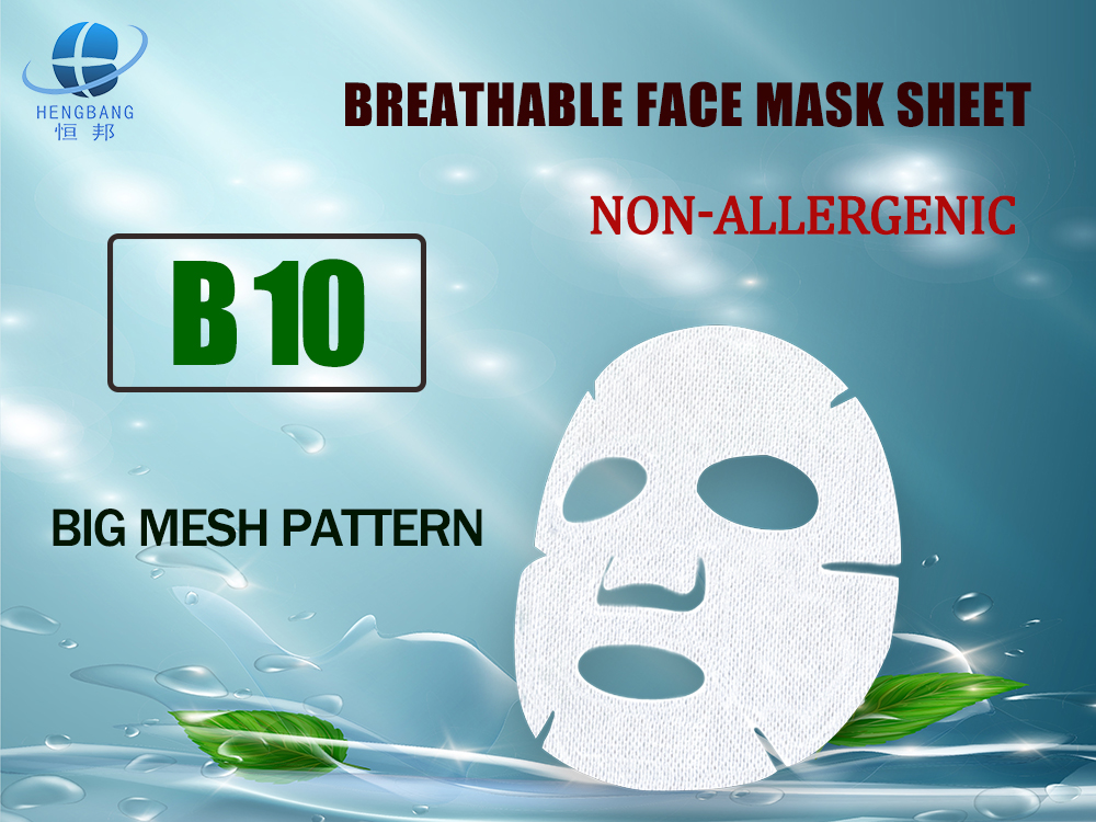 B10 Big Mesh Face Mask Sheet